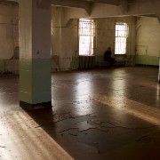 IMG 0338