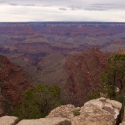 IMG 6586