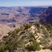 IMG 6645