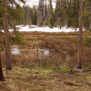 IMG 7275