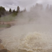 IMG 7293