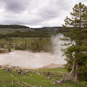 IMG 7303