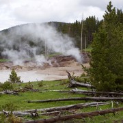 IMG 7312