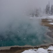 IMG 7391