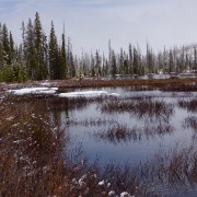 IMG 7438