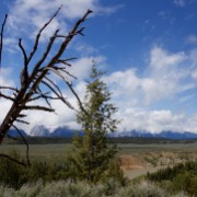 IMG 7454