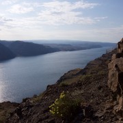 IMG 7677
