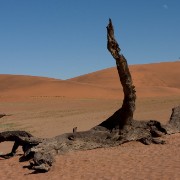 Africa 2006