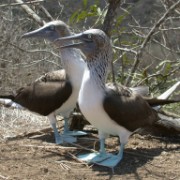 Küste