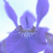 natur10