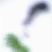 natur3
