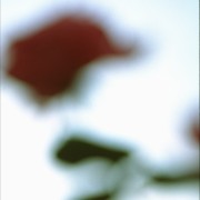 natur4