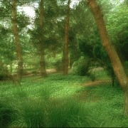 natur5