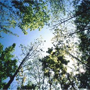 natur9