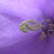 DSCN0131 BestOf