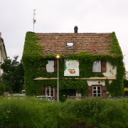 IMG 0494