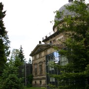 IMG 0535