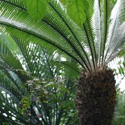 IMG 0548